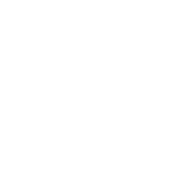 Ice Rink Managers Association logo