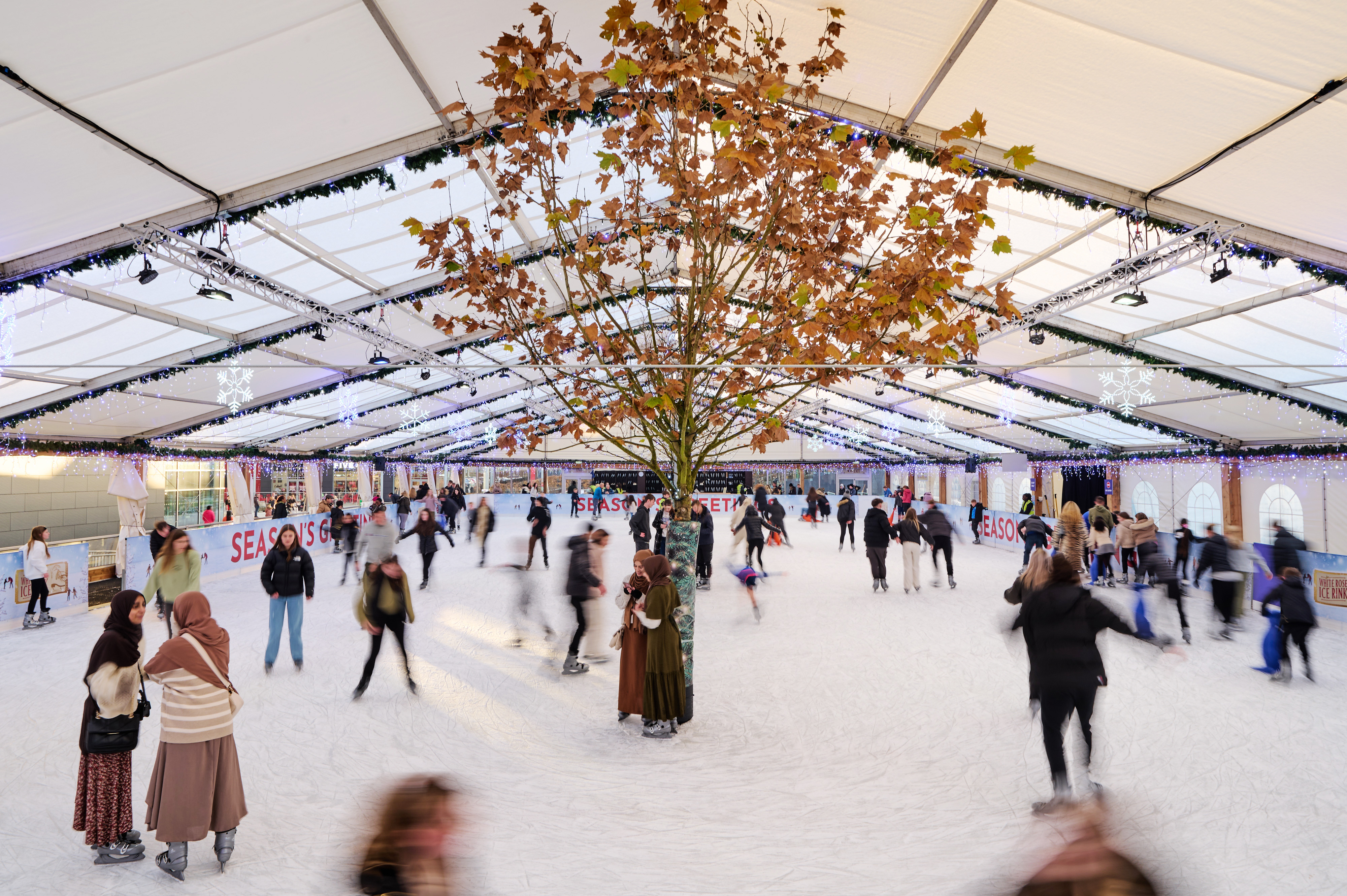 Action shot of skaters on the ice at a winter ice rink in Leeds. Skating around the twinkling trees under a clear roofed marquee. 